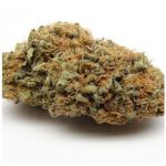 Шишки AK47 (Гидропоника, Бошка) VHQ в Фурманове Шишки AK47 (Гидропоника, Бошка) VHQ в Фурманове